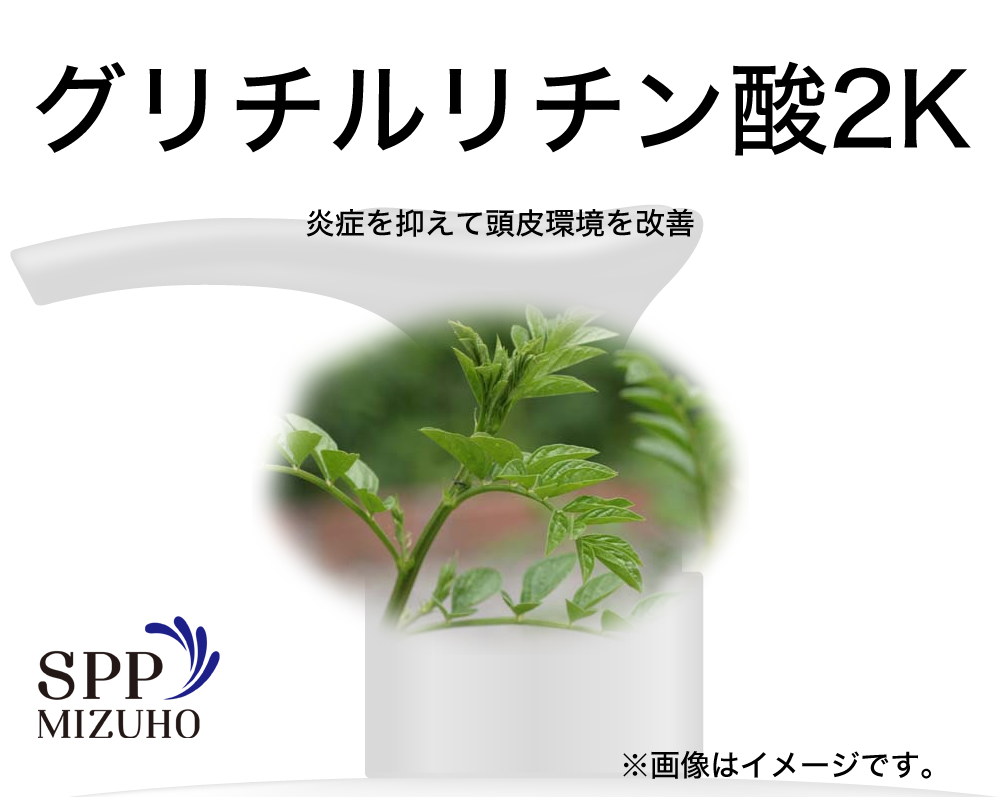 グリチルリチン酸2K/SPPシリーズ/SPP MIZUHO(みずほ) 育毛シャンプー